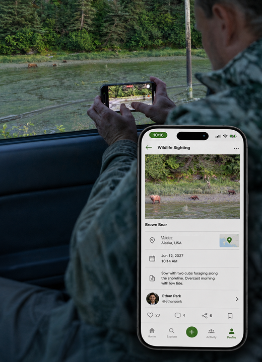 A wildlife sighting being recorded outdoors